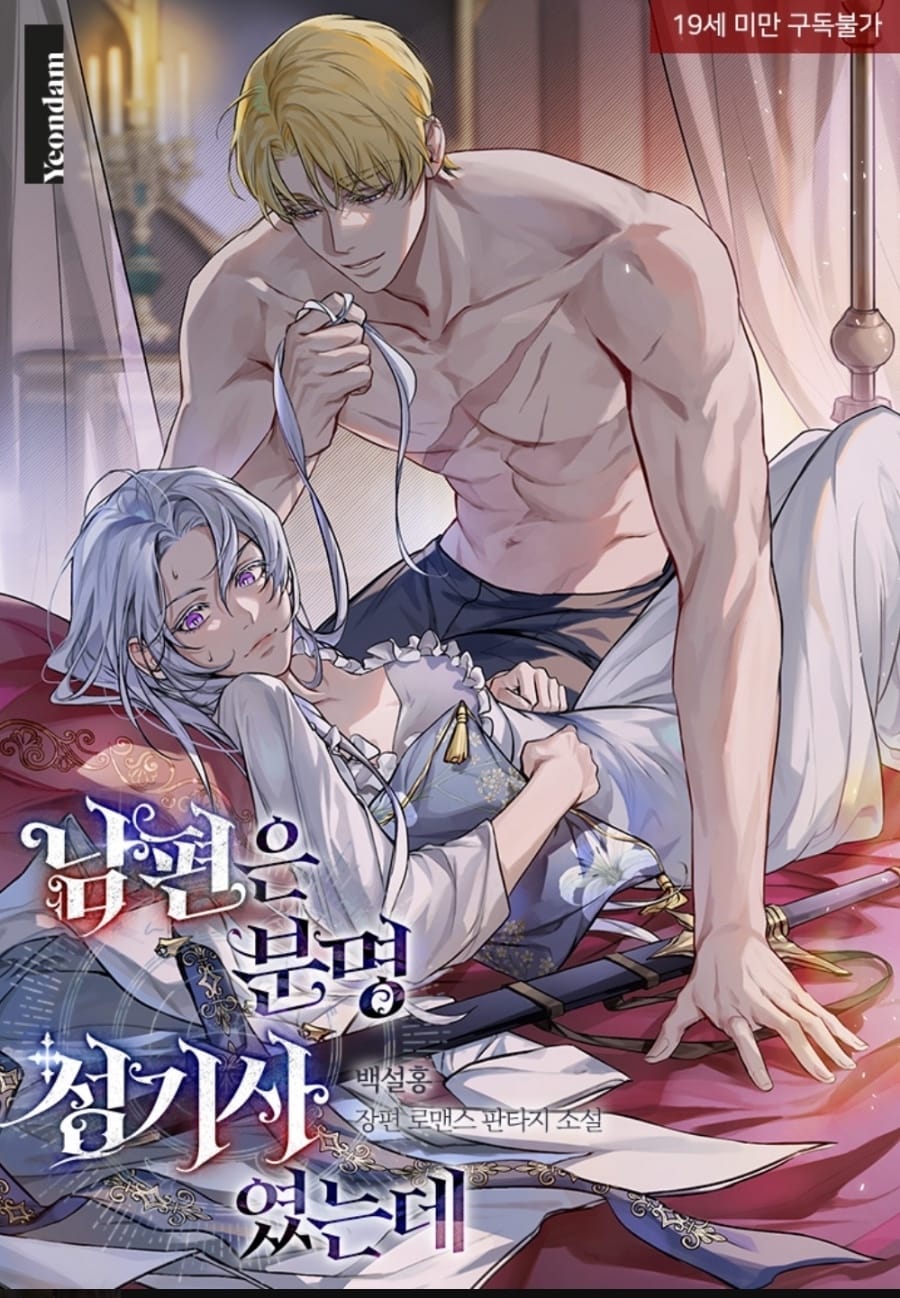 丈夫明明是聖騎士- 韓國小說翻譯｜Rubys Garden