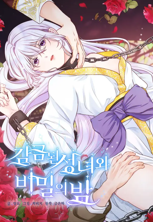 被囚禁的聖女與秘密之夜 cover
